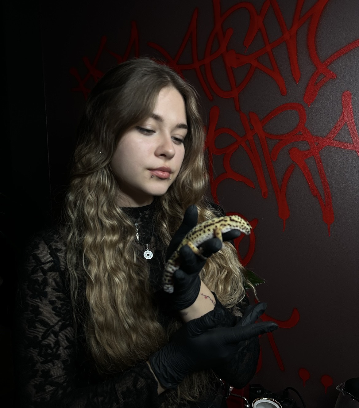 Arina